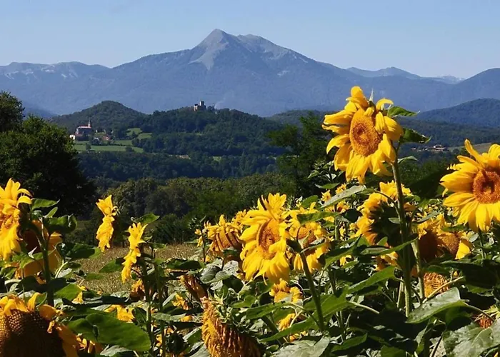 Domaine Pyrenees Passions - De Charmes & Caractere * Estadens