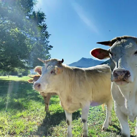 Domaine Pyrenees Passions - De Charmes & Caractere *