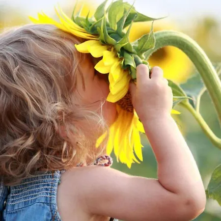 Nyaraló Domaine Pyrenees Passions - De Charmes & Caractere