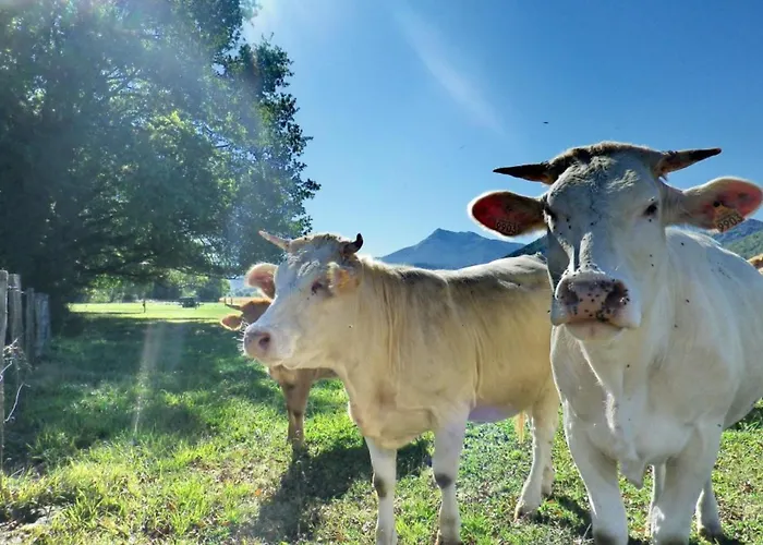 Domaine Pyrenees Passions - De Charmes & Caractere *