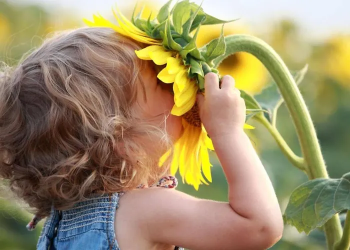 Feriehus Domaine Pyrenees Passions - De Charmes & Caractere